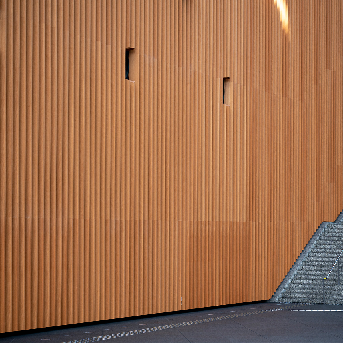 wpc cladding-pecis